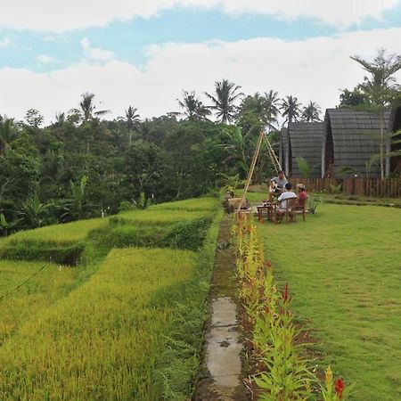 Hotel Omah Bapak Ijen Eco House Licin Zewnętrze zdjęcie