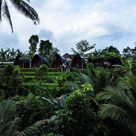 Hotel Omah Bapak Ijen Eco House Licin Zewnętrze zdjęcie