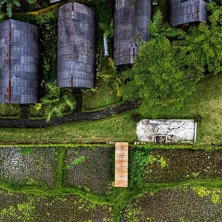 Hotel Omah Bapak Ijen Eco House Licin Zewnętrze zdjęcie