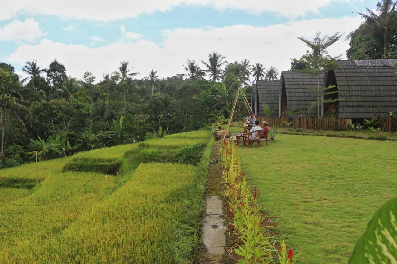 Hotel Omah Bapak Ijen Eco House Licin Zewnętrze zdjęcie