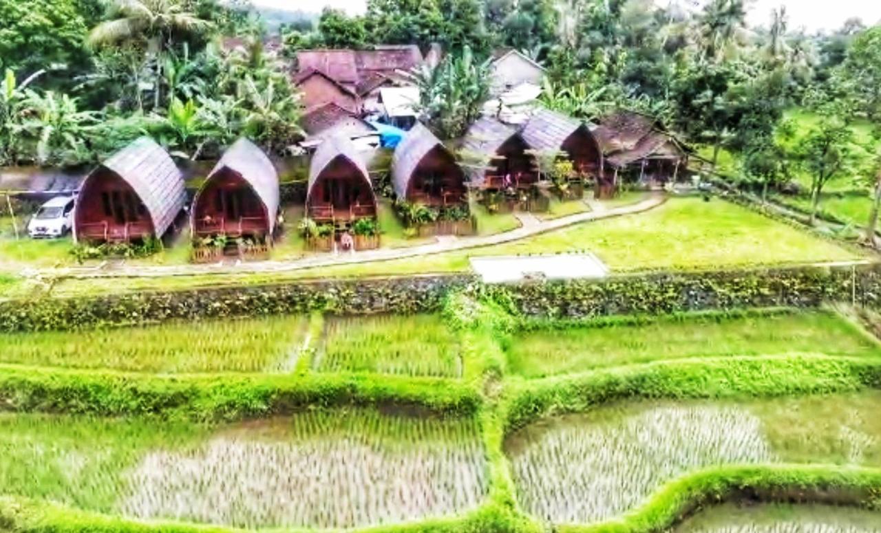 Hotel Omah Bapak Ijen Eco House Licin Zewnętrze zdjęcie