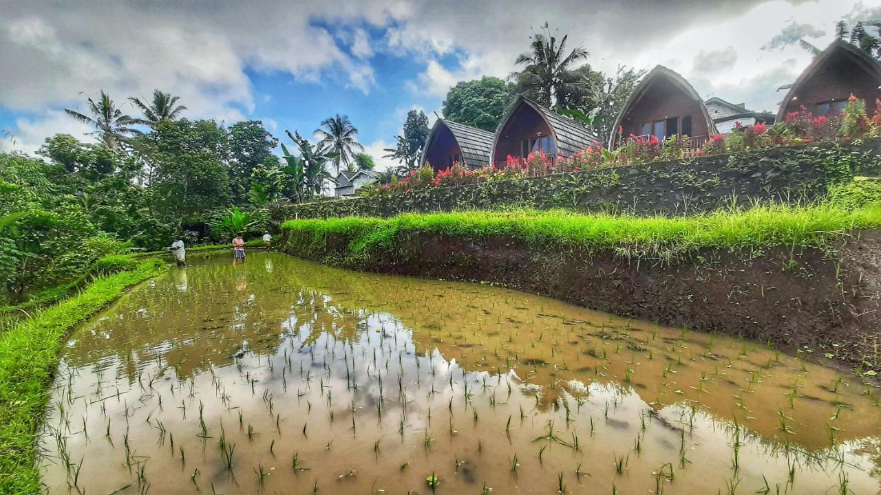 Hotel Omah Bapak Ijen Eco House Licin Zewnętrze zdjęcie