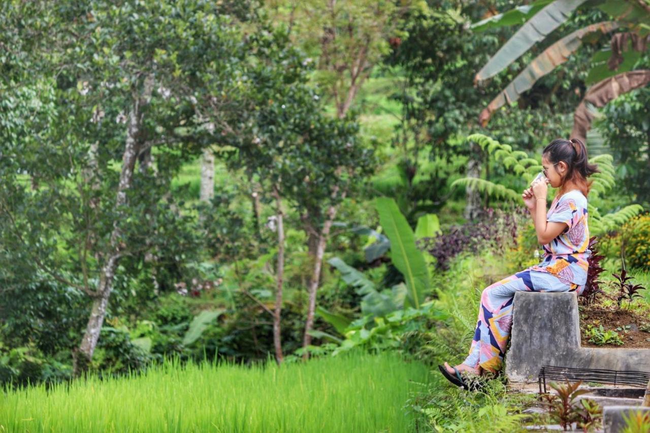 Hotel Omah Bapak Ijen Eco House Licin Zewnętrze zdjęcie