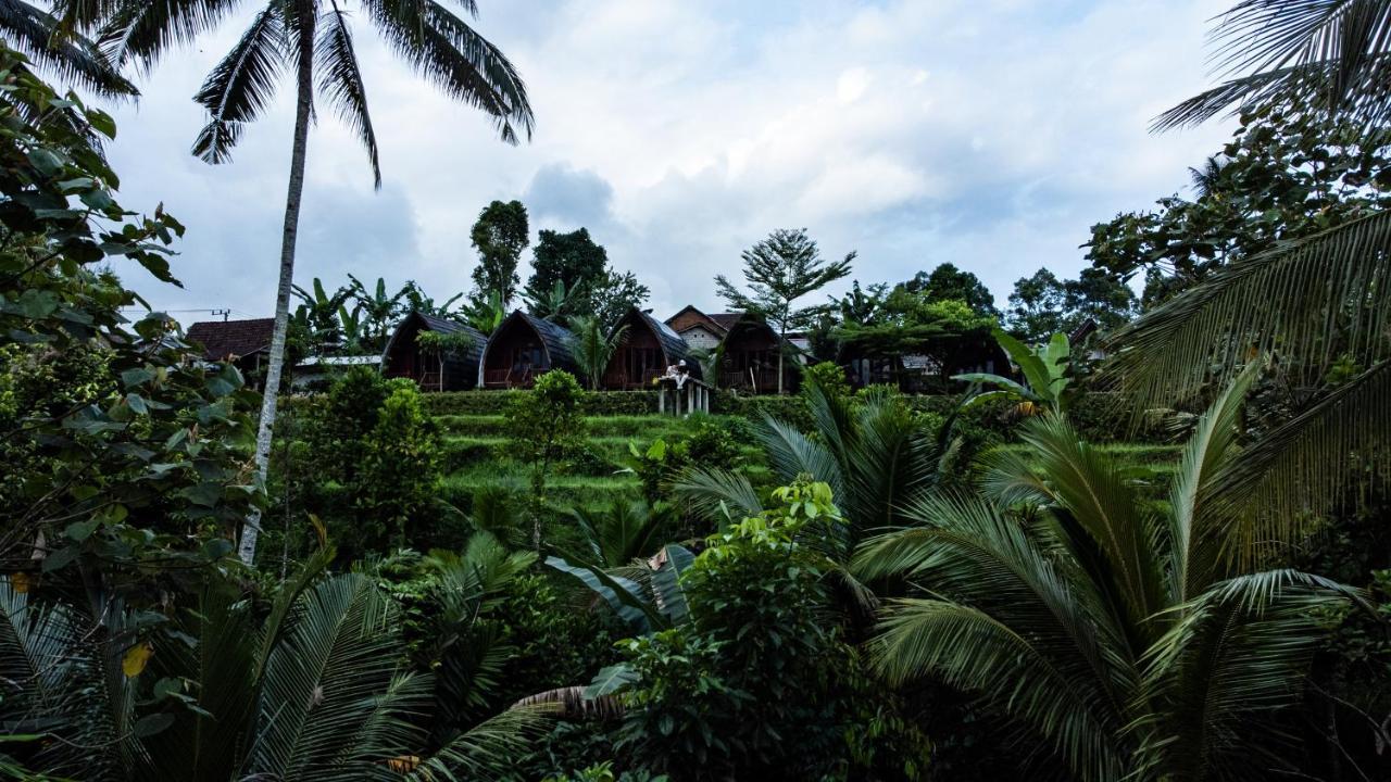 Hotel Omah Bapak Ijen Eco House Licin Zewnętrze zdjęcie