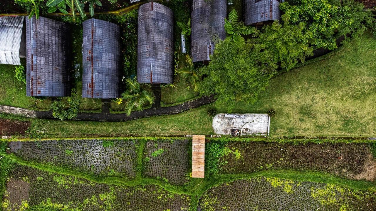 Hotel Omah Bapak Ijen Eco House Licin Zewnętrze zdjęcie