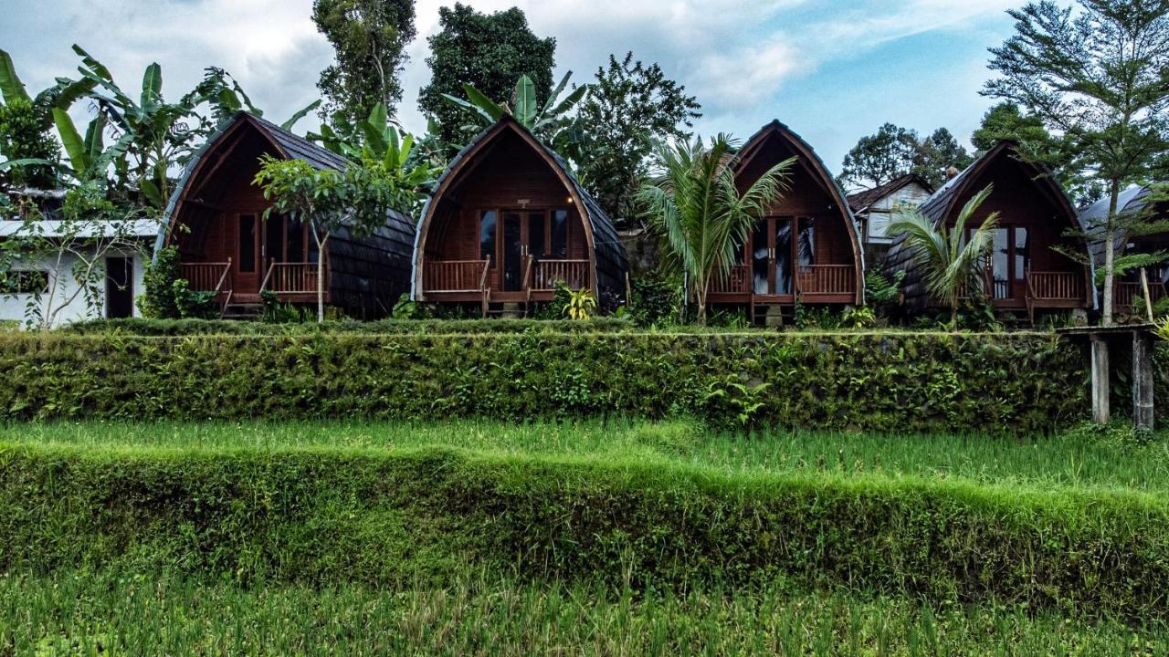 Hotel Omah Bapak Ijen Eco House Licin Zewnętrze zdjęcie
